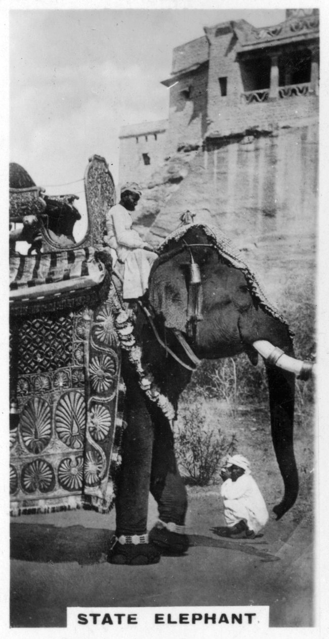 Elefante do governo em traje do estado, sul da Índia, c1925 de Unbekannt