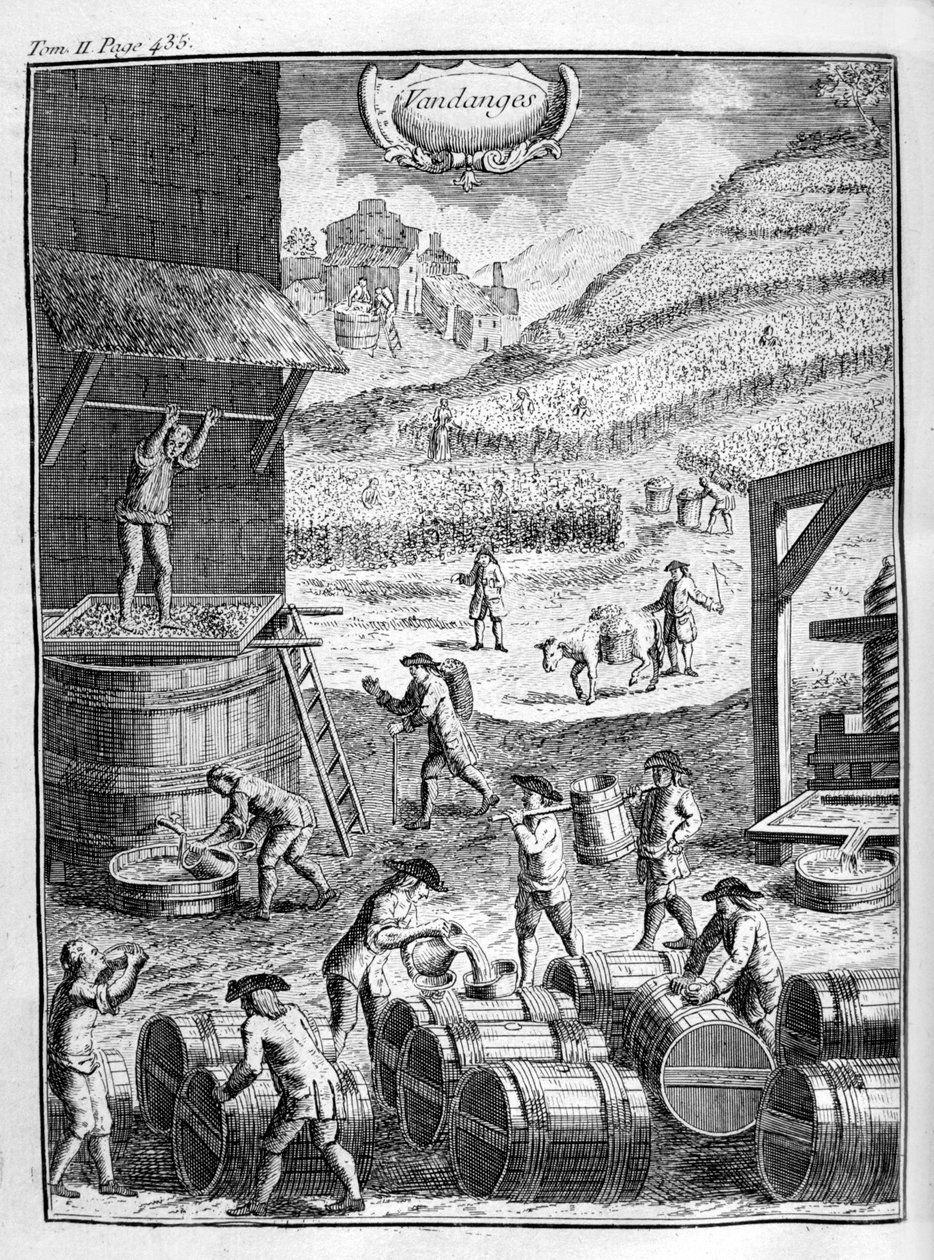 Colheita de uvas, 1775 de Unbekannt