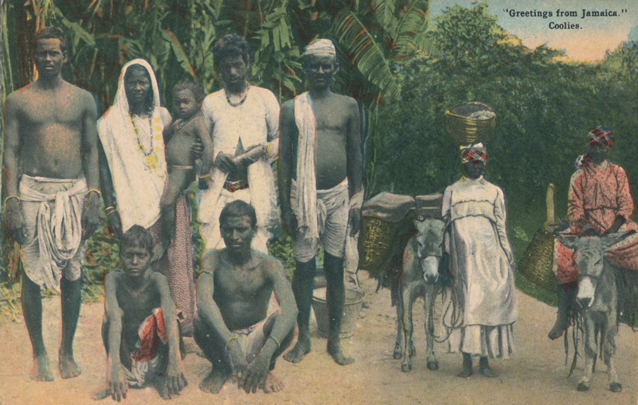 Saudações da Jamaica. Coolies, início do século XX. de Unbekannt