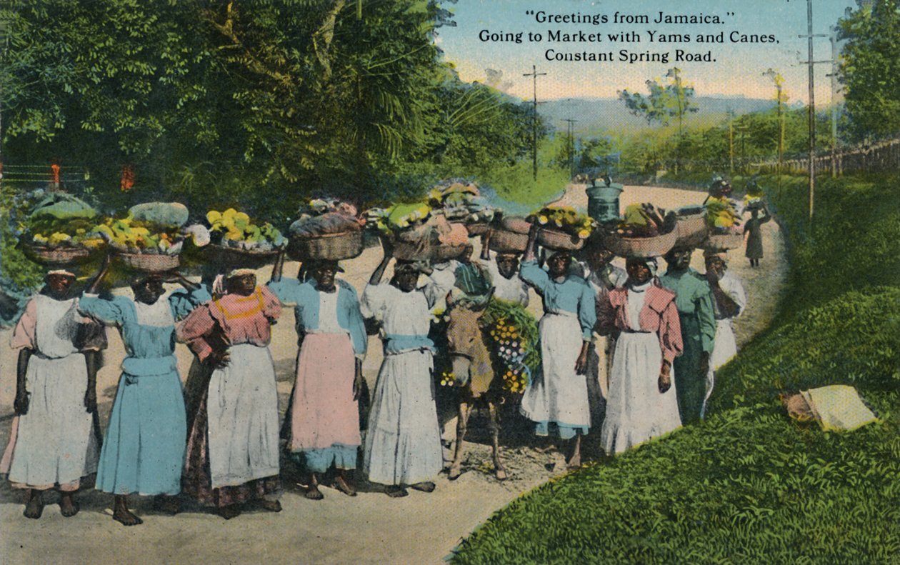 Saudações da Jamaica. Ir ao mercado com inhames e bastões. Estrada constante da mola, 1913. de Unbekannt
