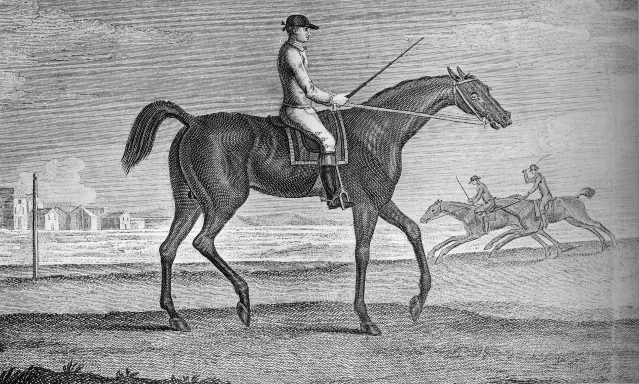 Granadeiro, século c18th, 1911 de Unbekannt