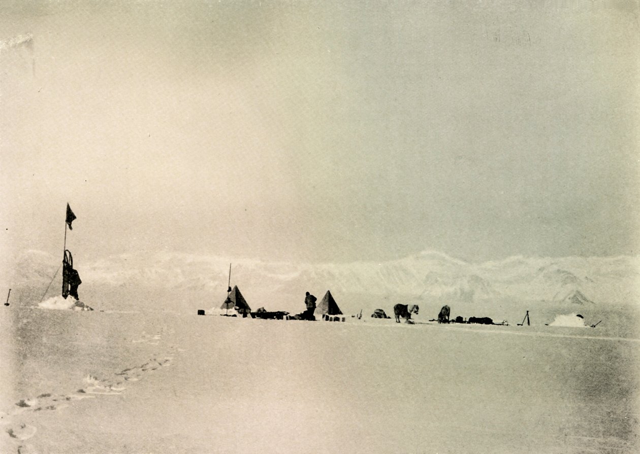 Grisi Depot, latitude 82 ° 45 sul, c1908, 1909. de Unbekannt