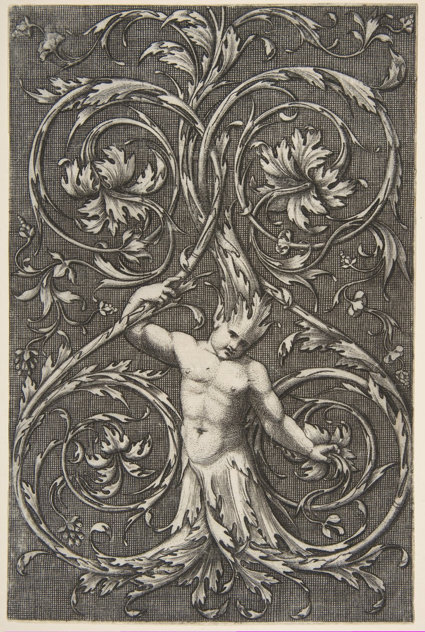 Grotesco com figura masculina com parte inferior do corpo e cabeça de pergaminhos de acanto, ca. 1515-1600. de Unbekannt
