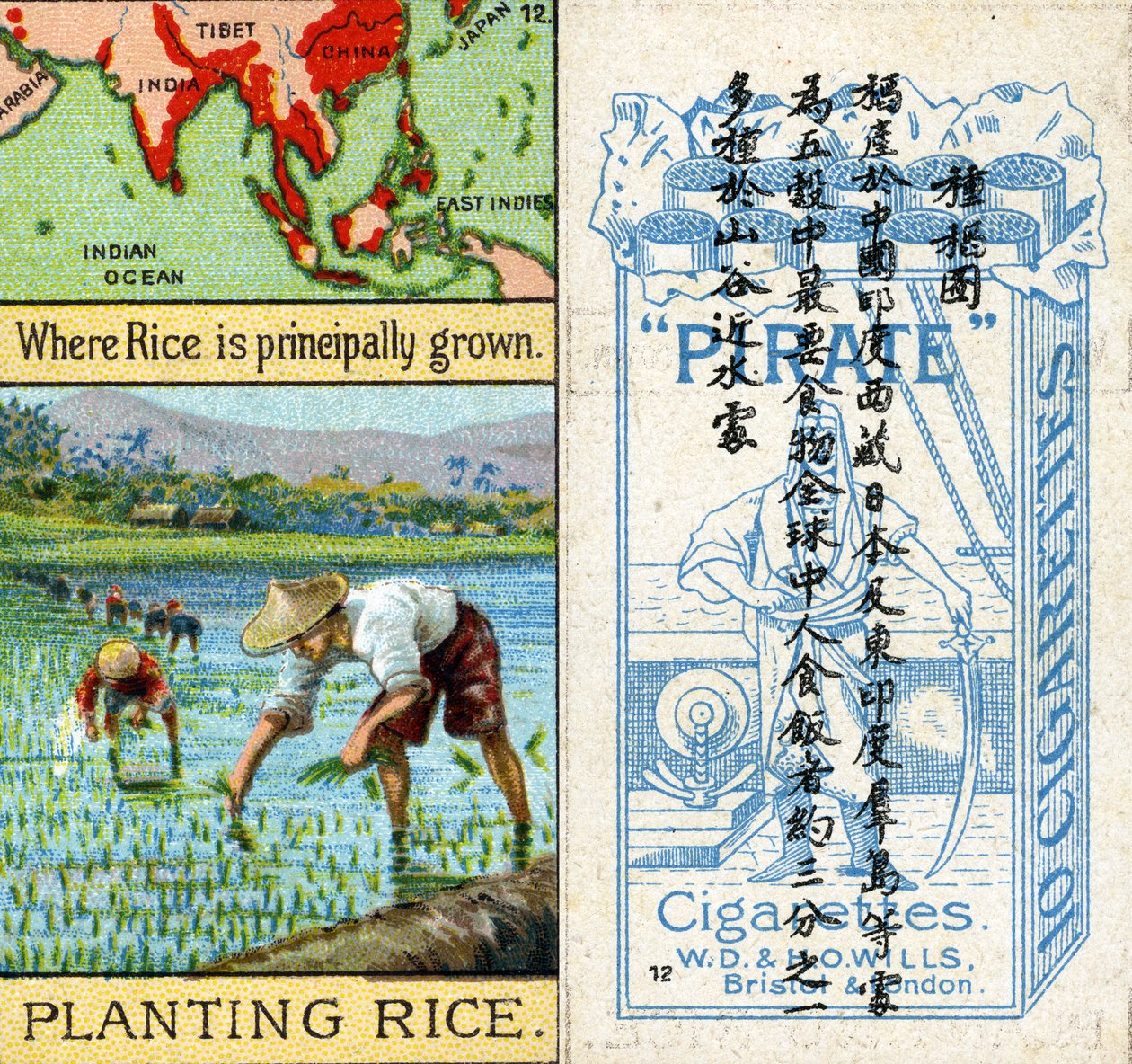 Growing and Planting Rice, da série de cartões de cigarros 