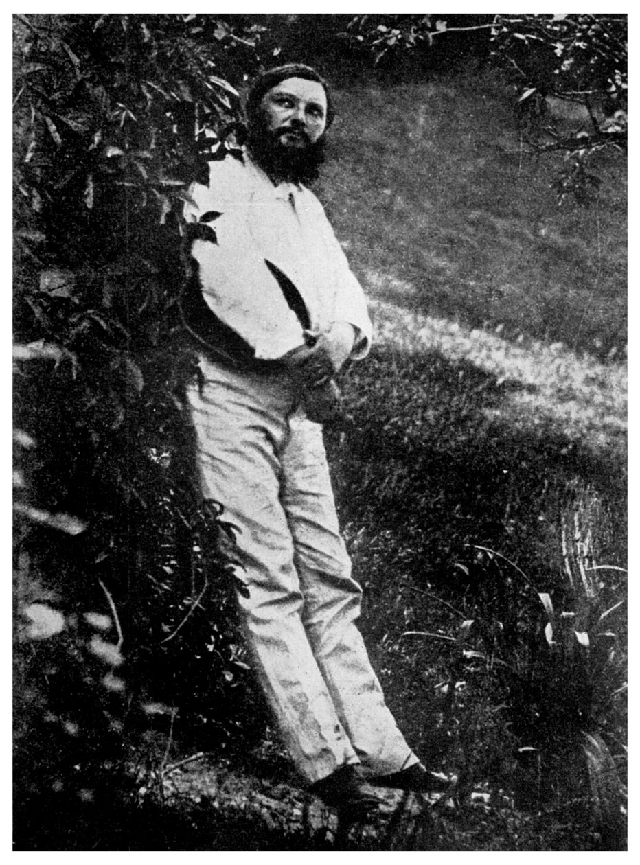 Gustave Courbet, artista francês, século XIX 1956 de Unbekannt