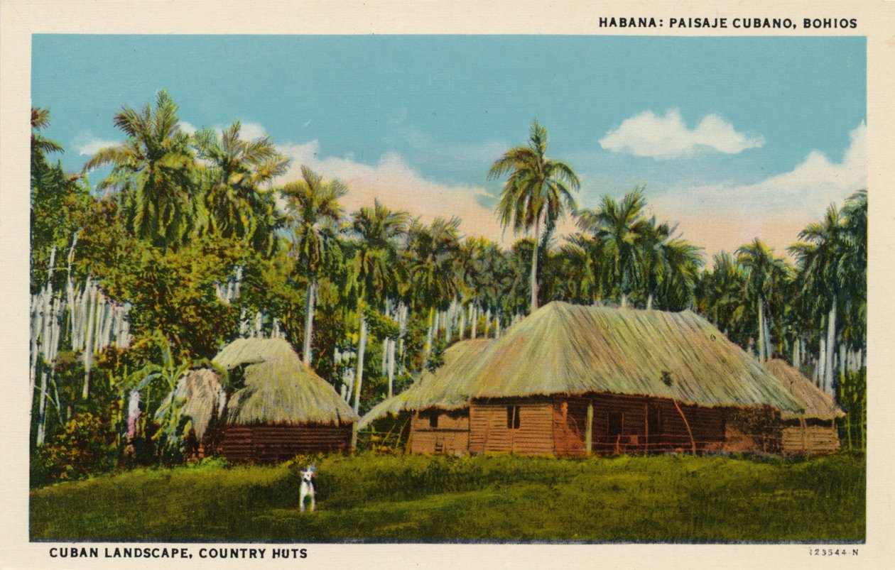 Havana: paisagem cubana, Bohios. Paisagem cubana, cabanas de campo, c1910 de Unbekannt