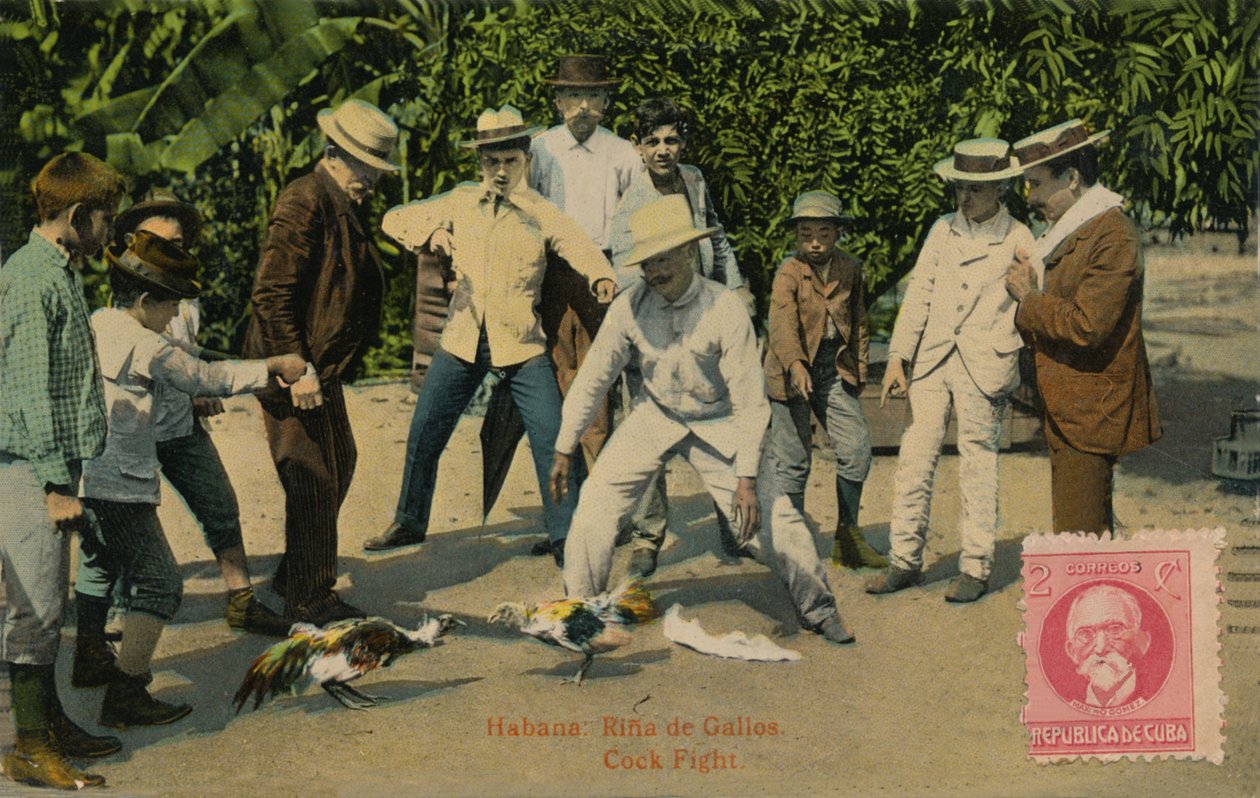 Havana: Rina de Gallos. Briga de Galos, 1918 de Unbekannt