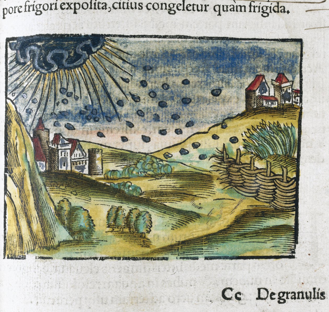 Salve de Unbekannt