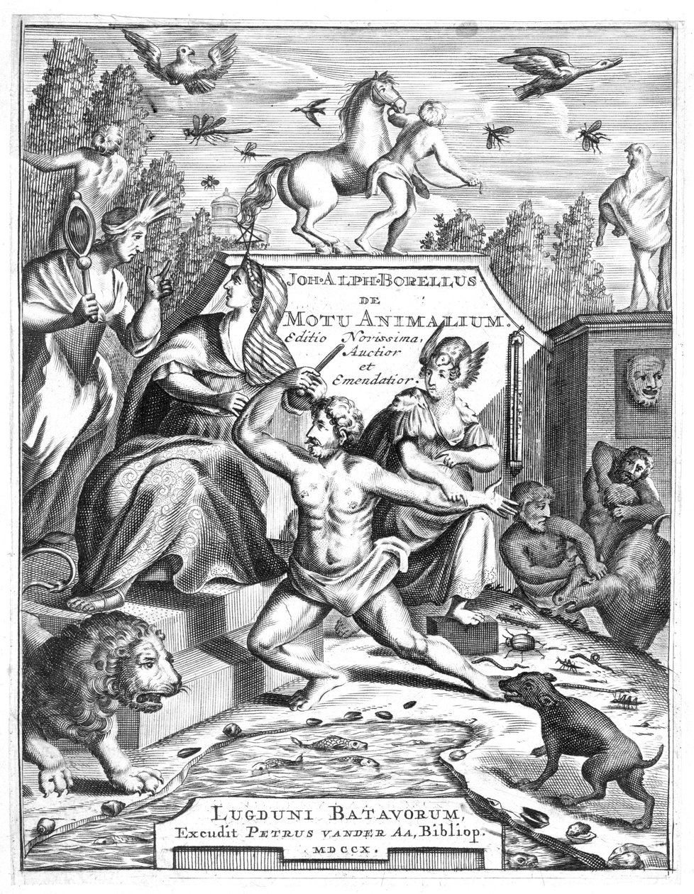 Meio-título de De Motu Animalum por Giovanni Borelli, 1710 de Unbekannt