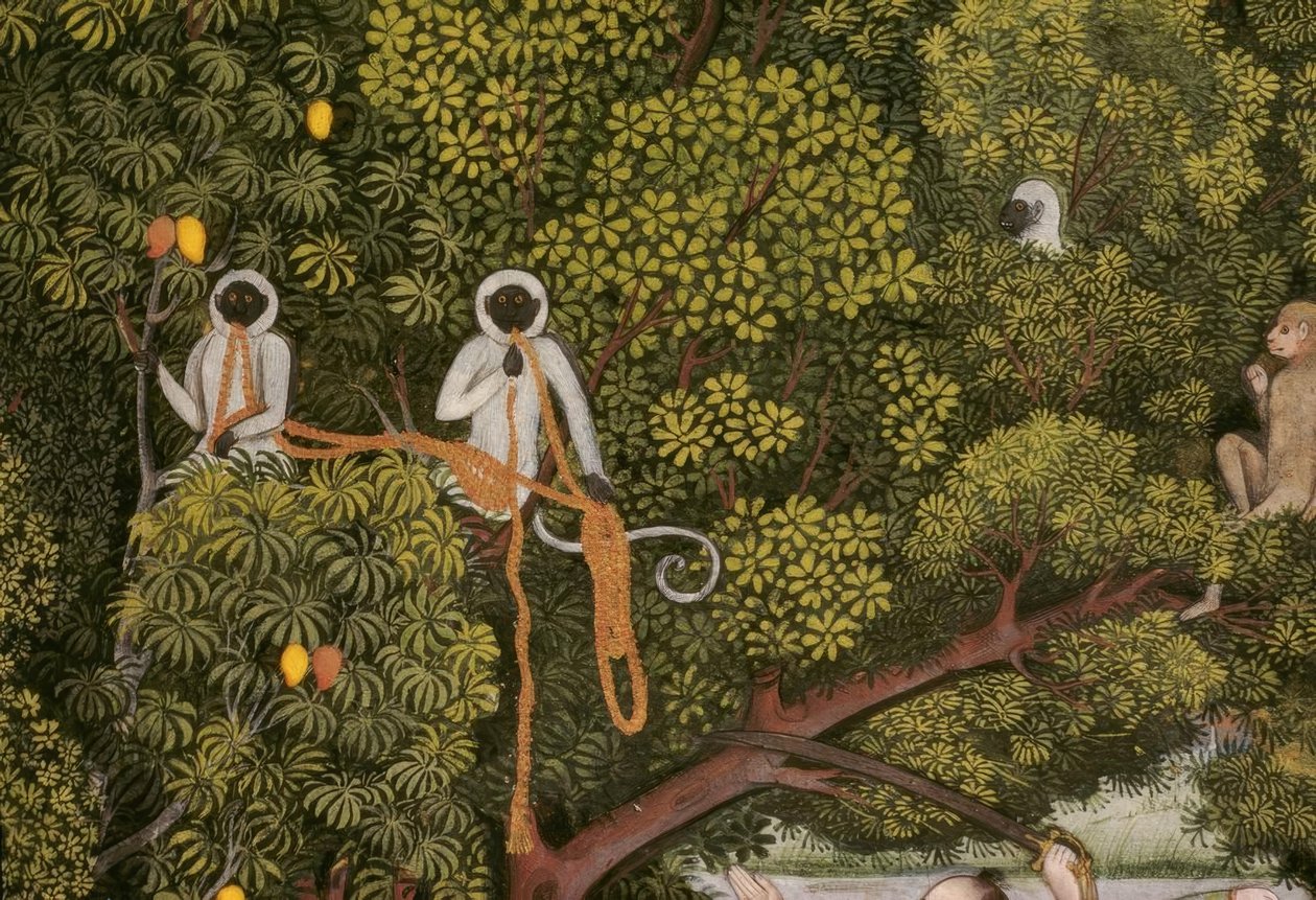Hanuman langurs miniatura indígena de Unbekannt