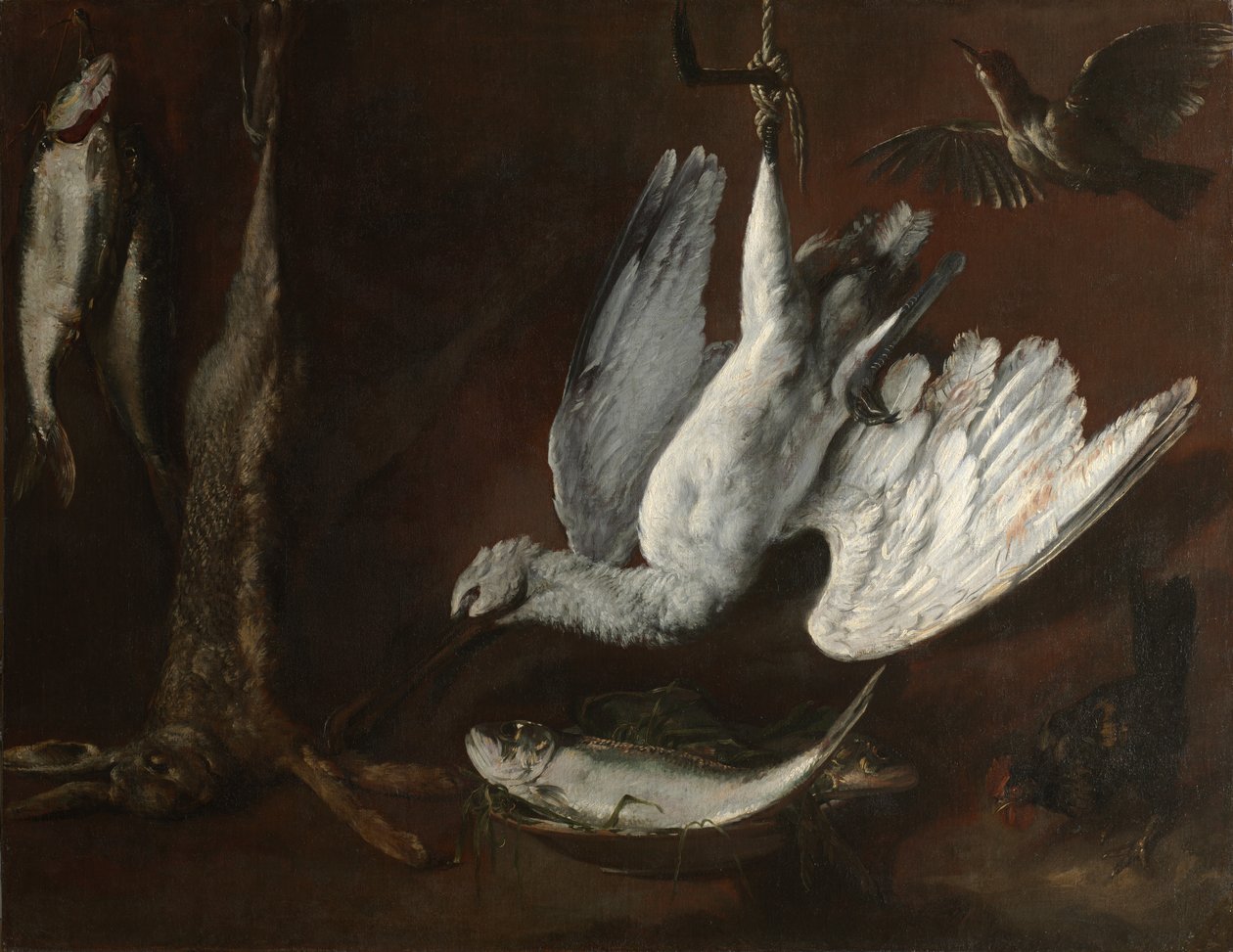 Lebre, Colhereiro e Peixe, meados dos anos 1600. de Unbekannt