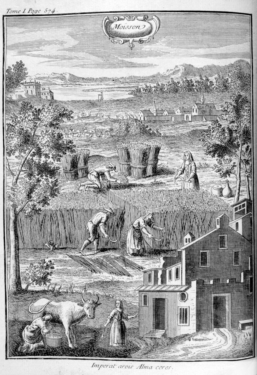 Colheita, 1775 de Unbekannt