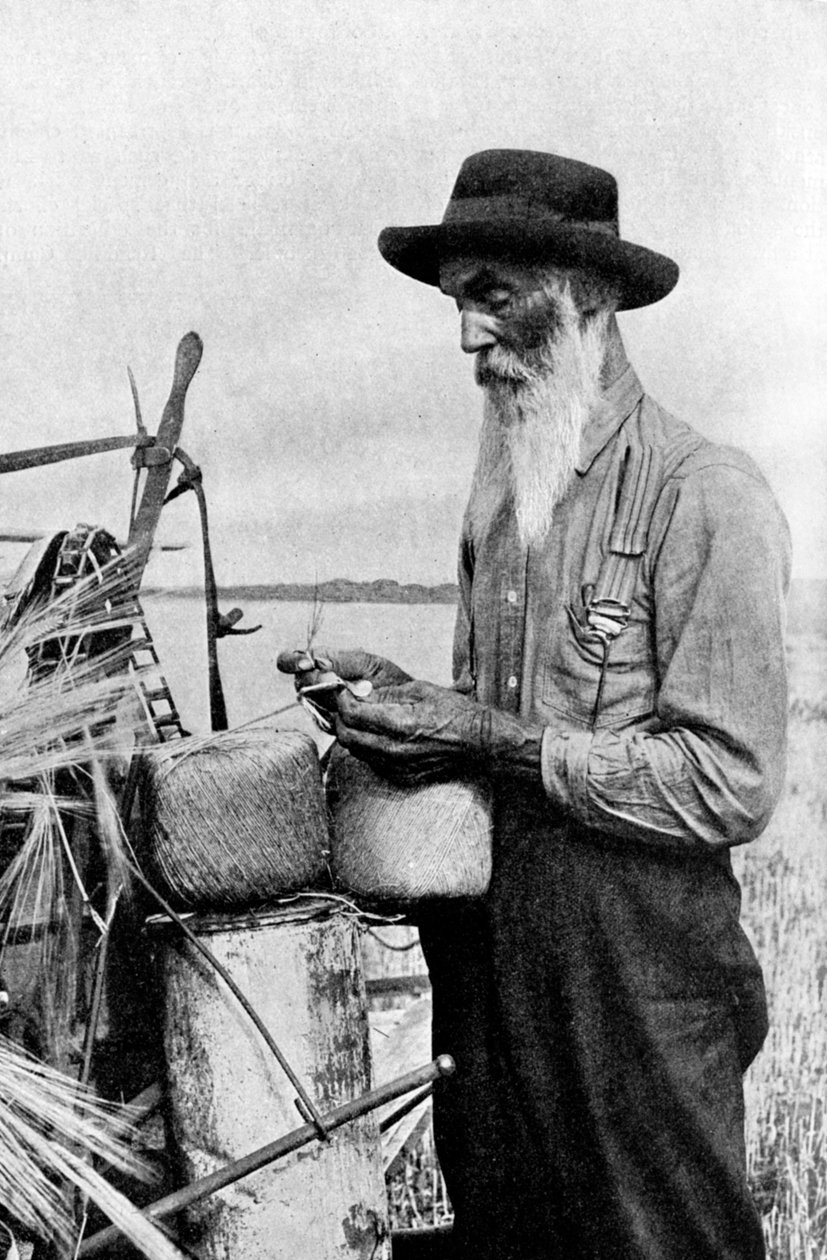 Tempo de colheita no distrito de Red River, Alberta, Canadá, 1922 de Unbekannt