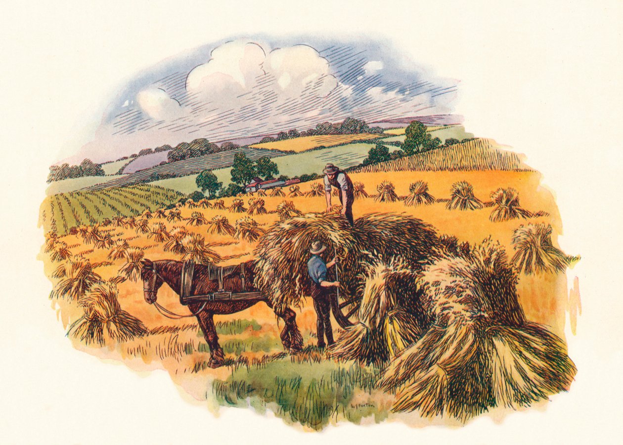 Colheita em Tolpuddle, 1824, 1934 de Unbekannt
