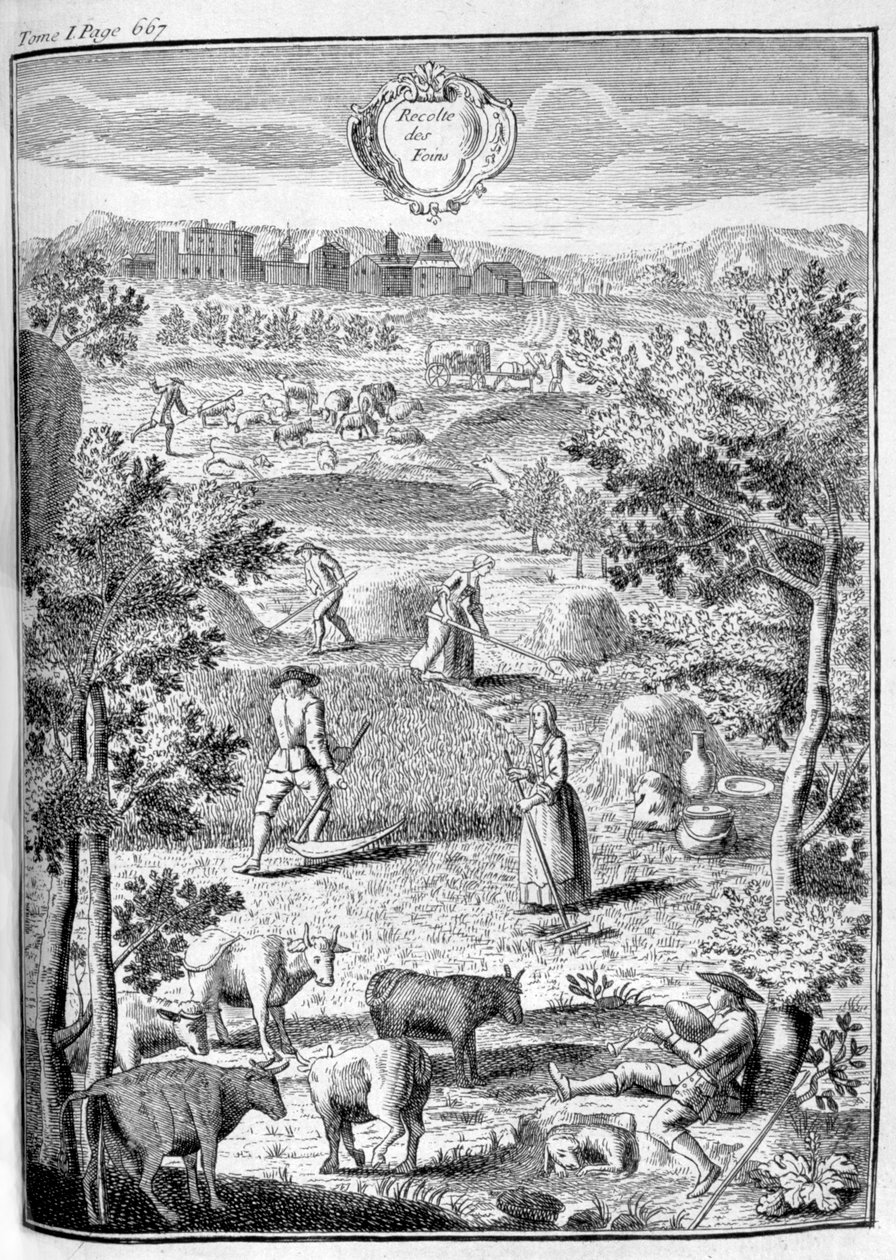 Colhendo o feno, 1775 de Unbekannt