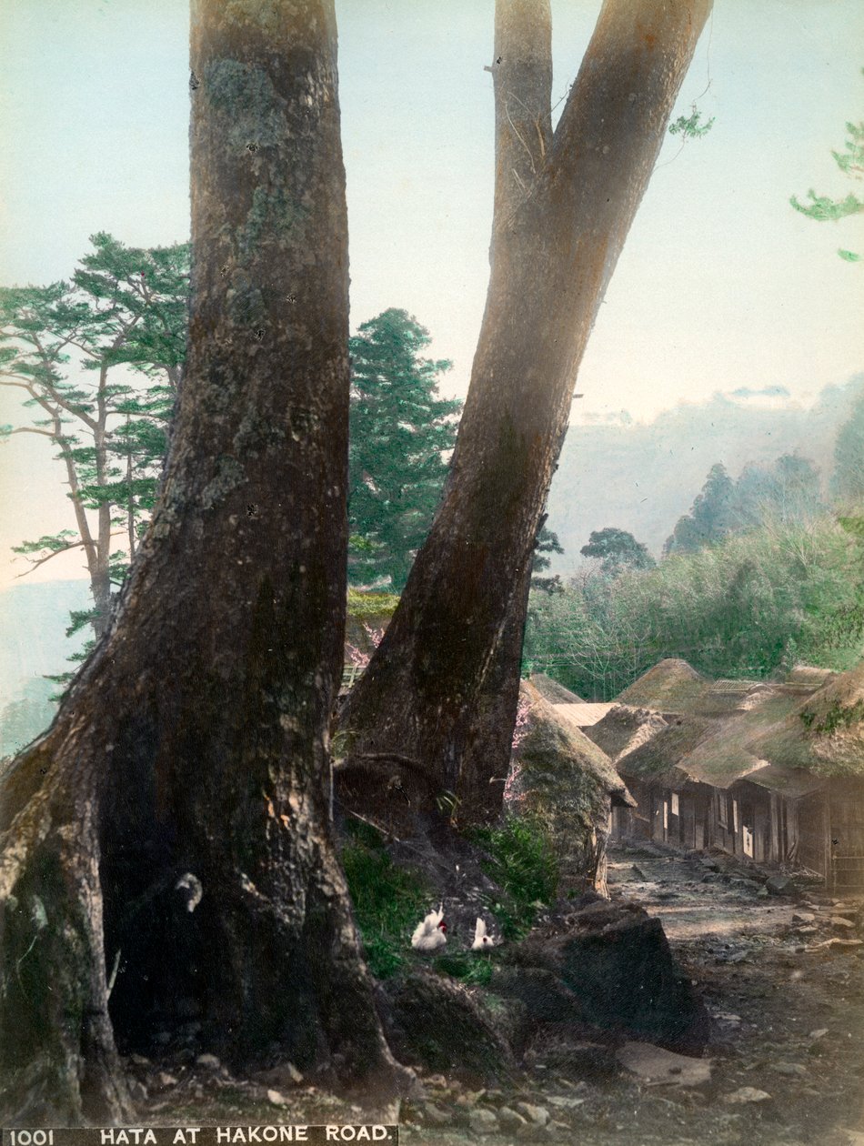 Hata na Hakone Road, Japão, início do século XX de Unbekannt
