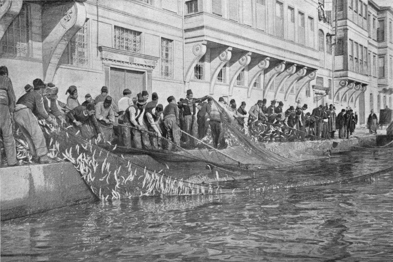 Transporte em um Grippo de 15000 peixes no Emirado do Bósforo, c1901, 1903 de Unbekannt