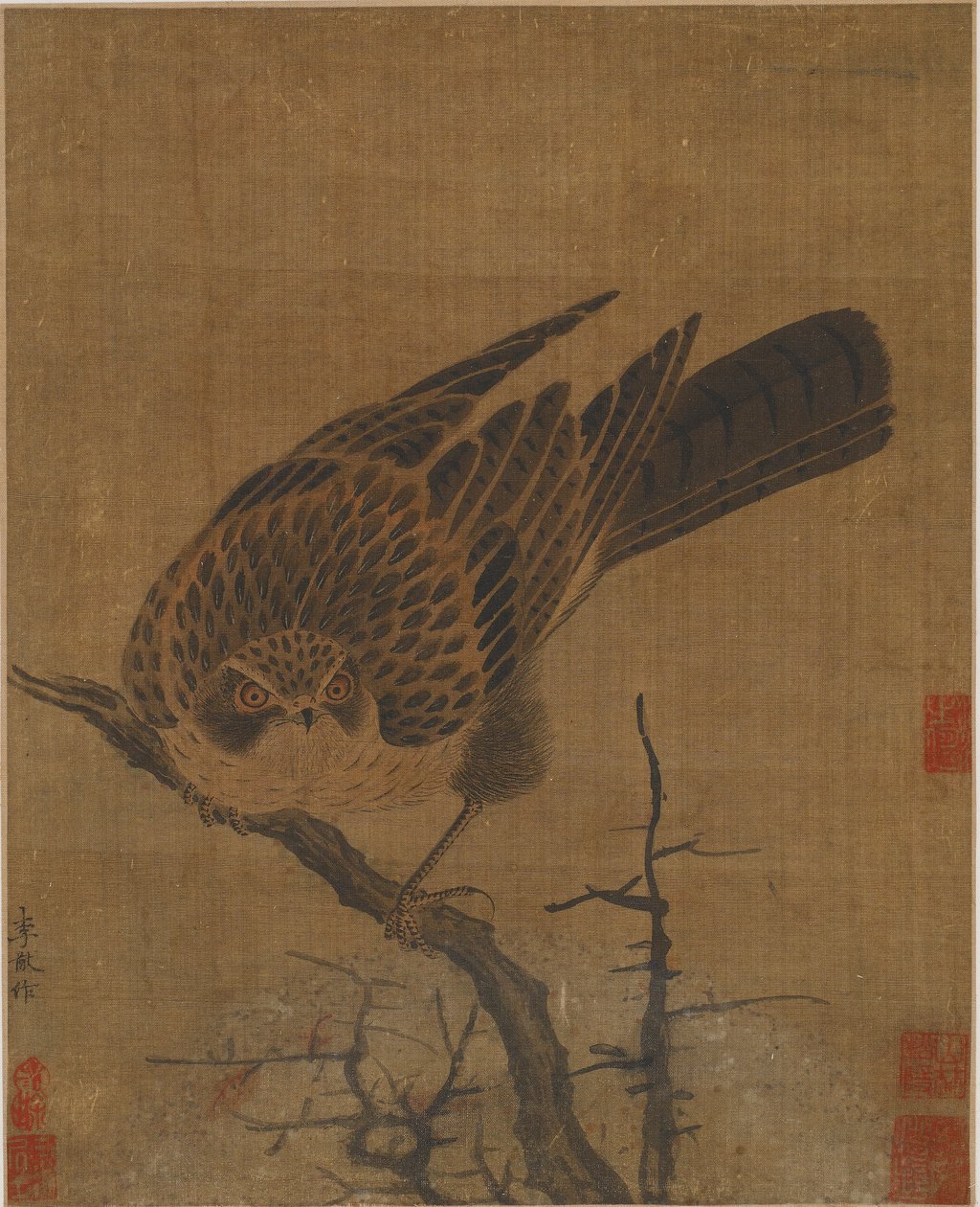 Falcão em um galho sem folhas, possivelmente dinastia Yuan, 1279-1368. de Unbekannt