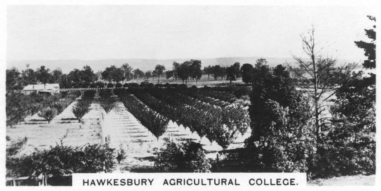 Hawkesbury Agricultural College, Nova Gales do Sul, Austrália, 1928 de Unbekannt