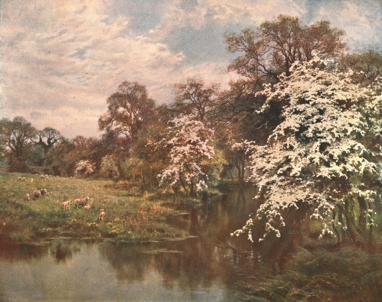 Flores do espinheiro, c1899, c1902. de Unbekannt