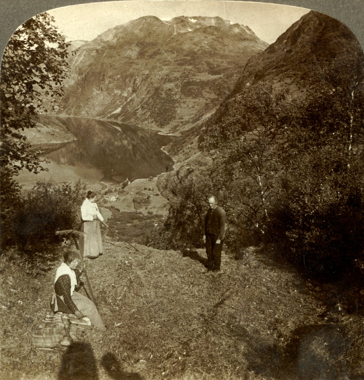 Feno na prateleira da montanha acima da vila de Marok e Geirangerfjord, na Noruega, c1905 de Unbekannt