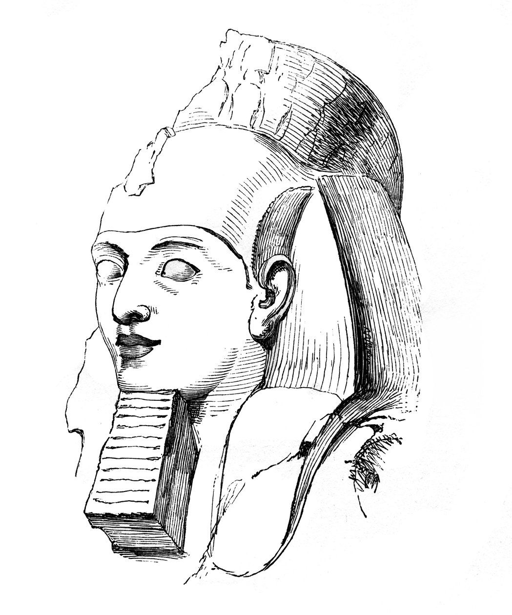 Cabeça de Ramsés, 1848 de Unbekannt