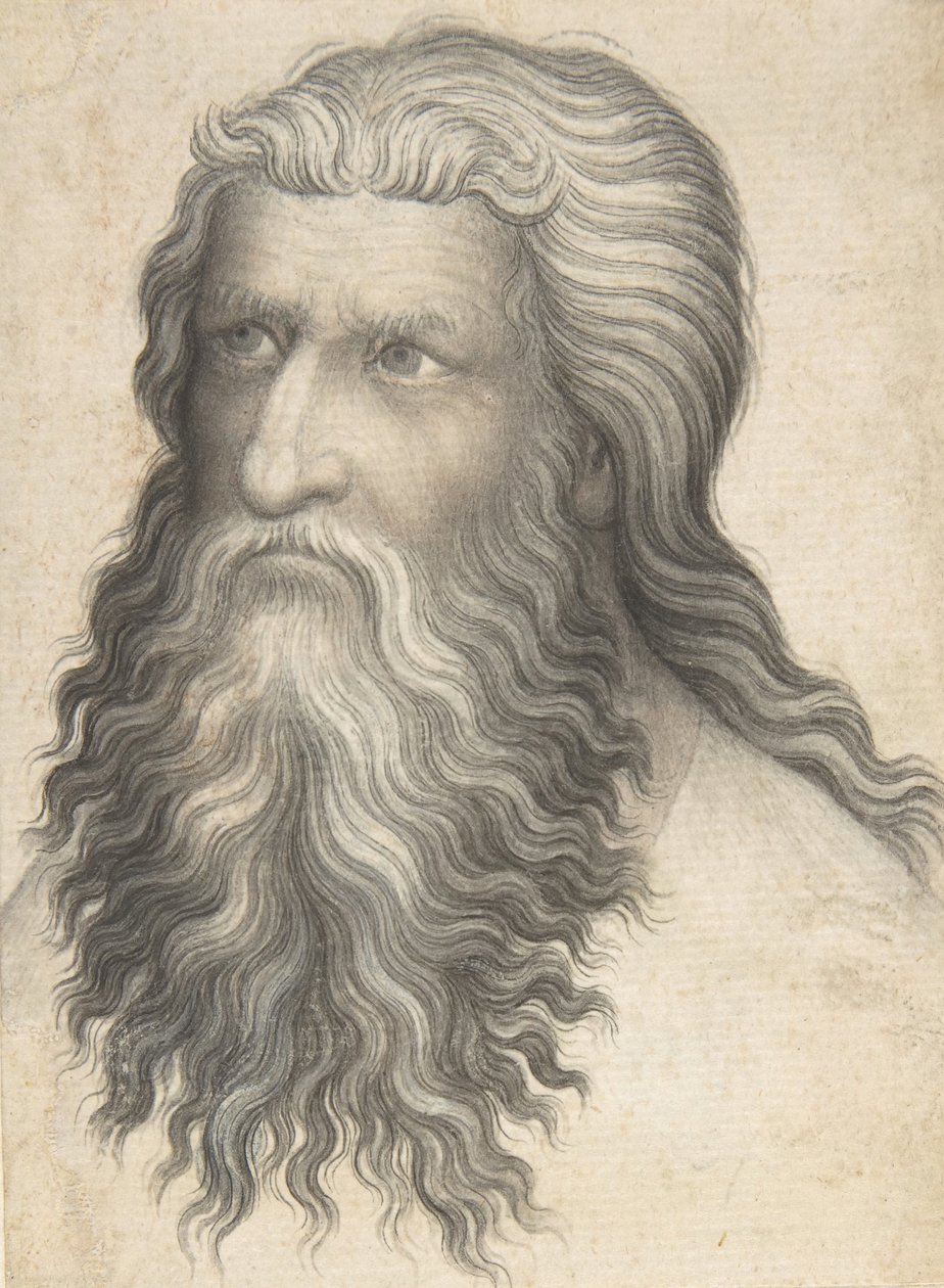 Cabeça de um homem barbudo, 1360-80. de Unbekannt