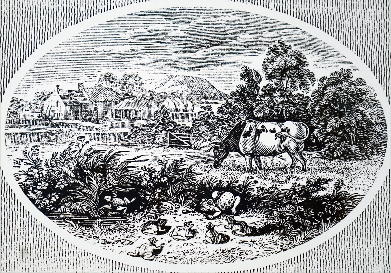 A cabeça de Thomas Bewick de Unbekannt