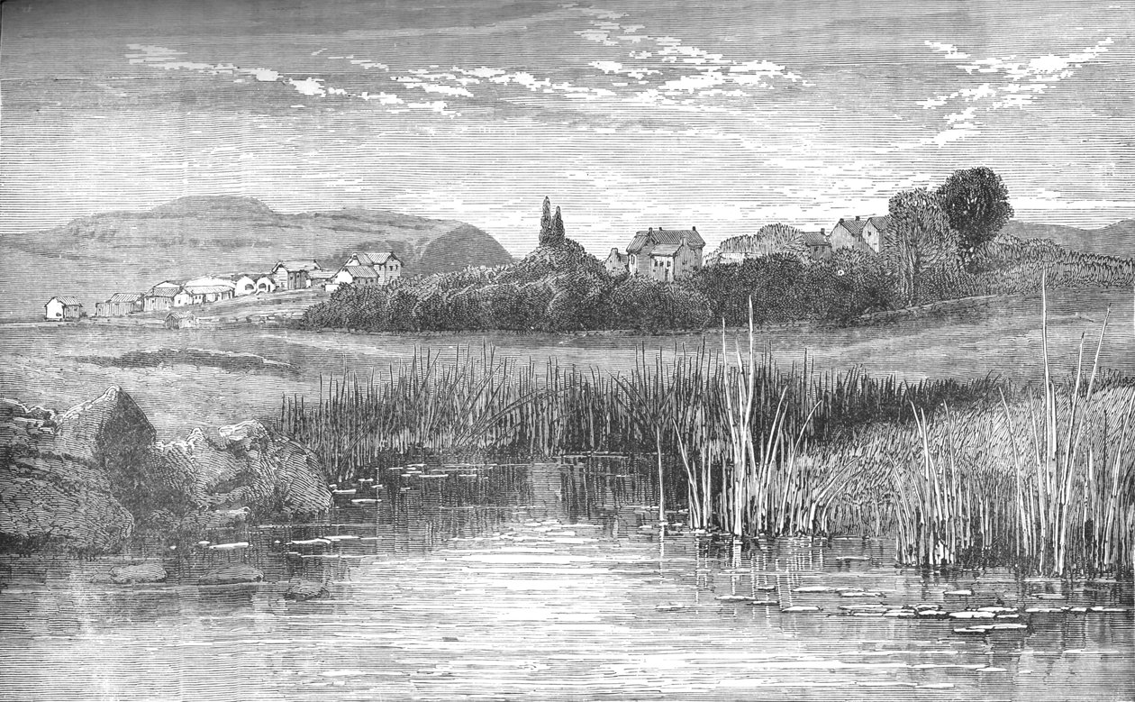 Heidelberg, c1880 de Unbekannt