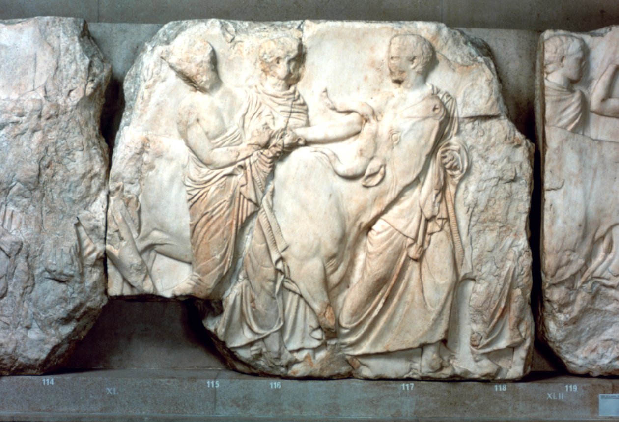 Novilhas levaram ao sacrifício, do friso sul do Partenon, 447-432 aC de Unbekannt