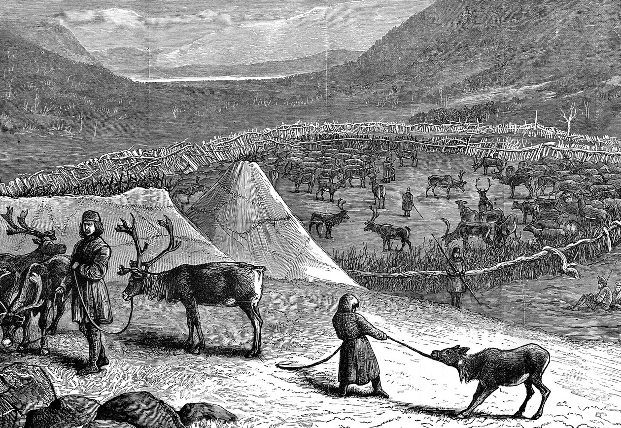 Rebanho de renas, Lapônia, 1882 de Unbekannt