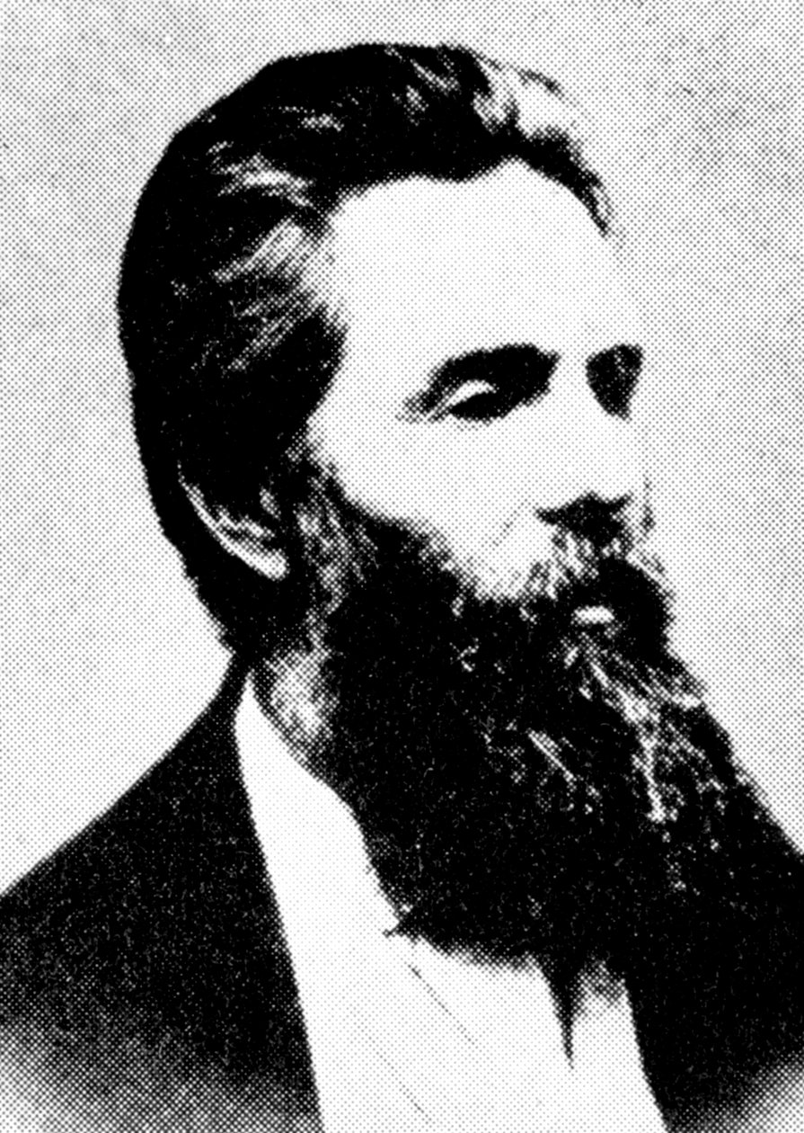 Herman Melville, autor americano, século XIX de Unbekannt