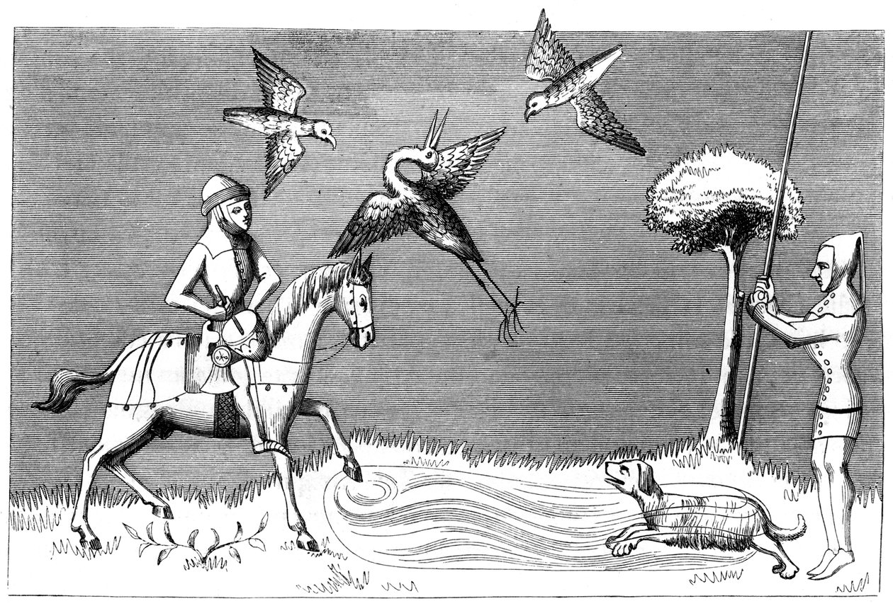 Garça-vaqueira, século XIV 1849 de Unbekannt