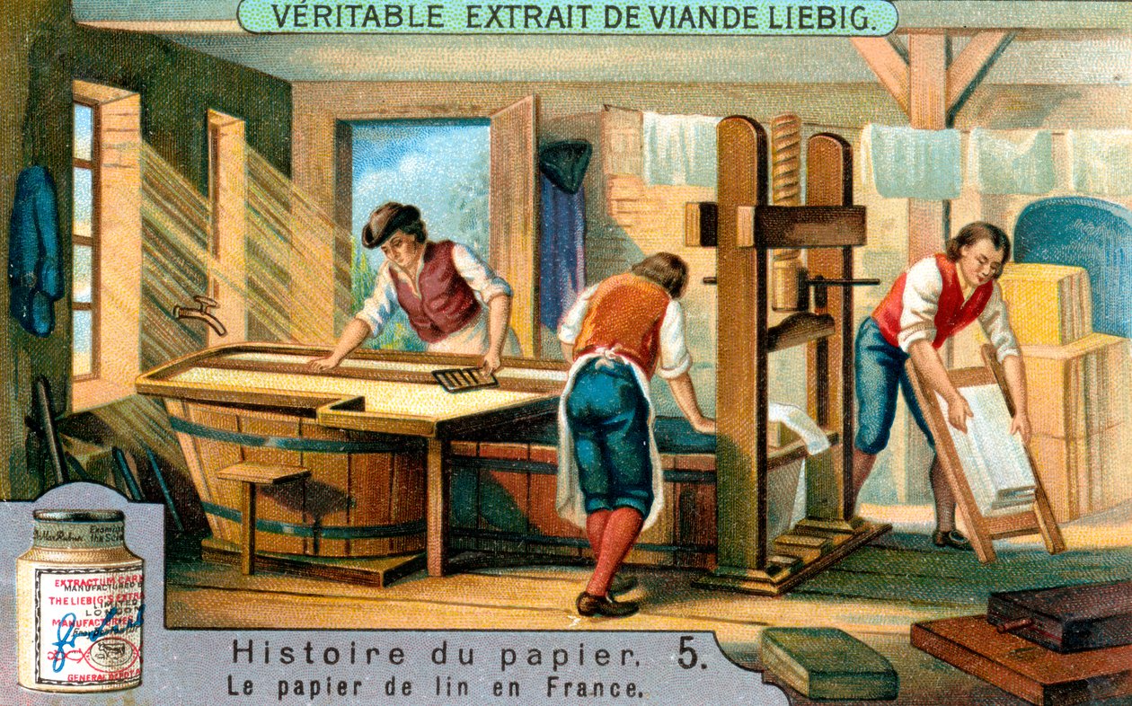 História do Artigo: 5, c1900 de Unbekannt