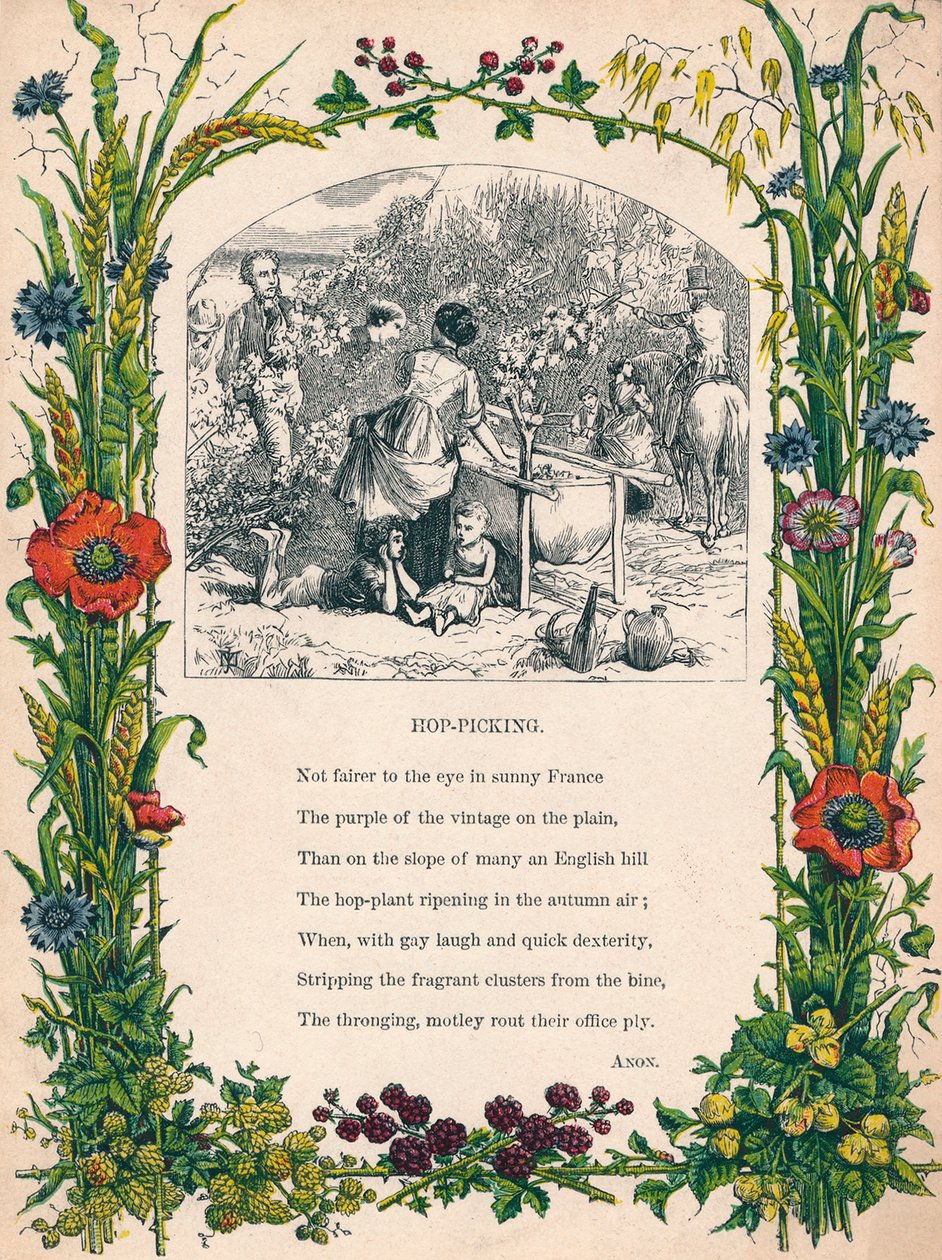 Escolha de lúpulo, c1900 de Unbekannt