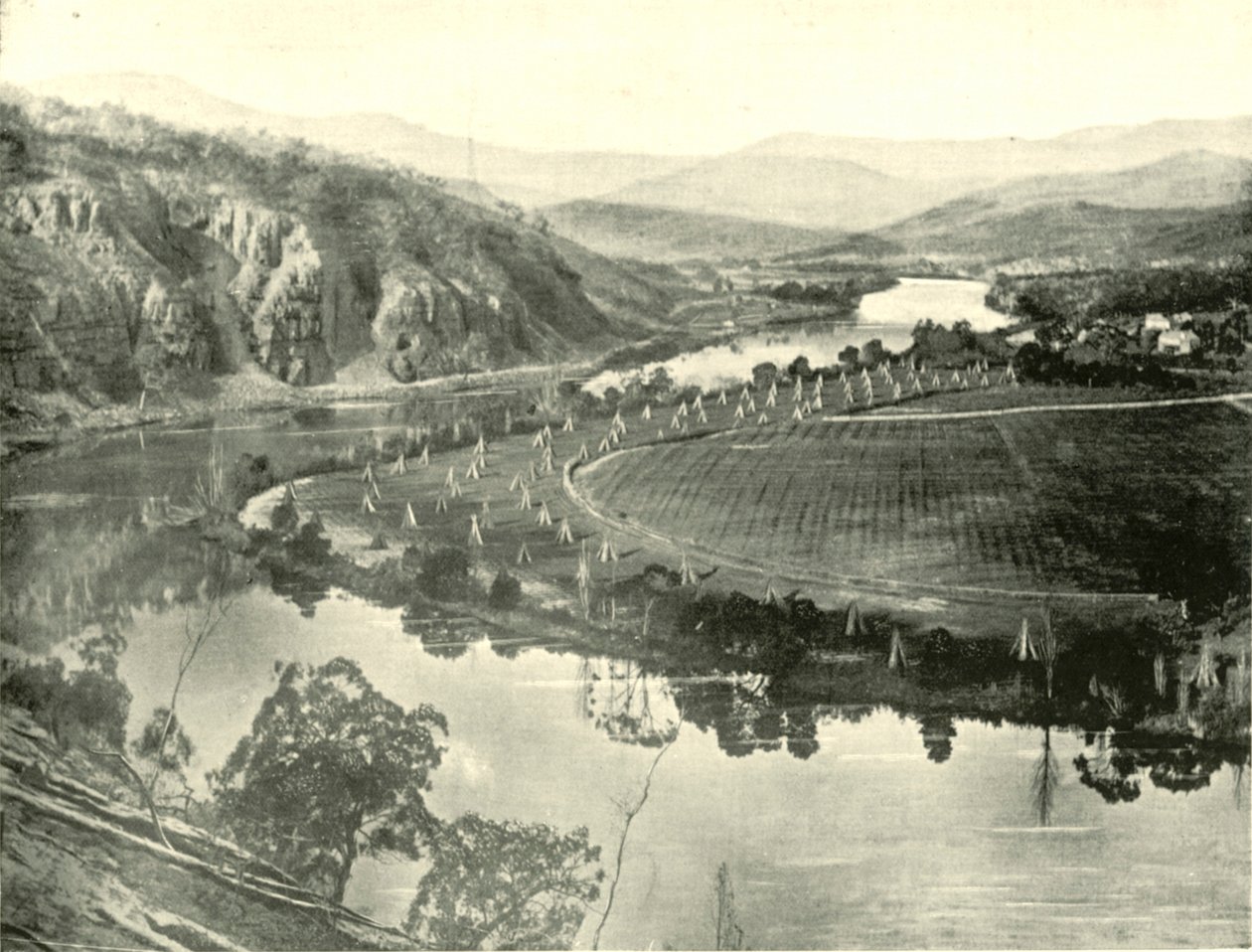 Hop Gardens na Tasmânia, 1901. de Unbekannt