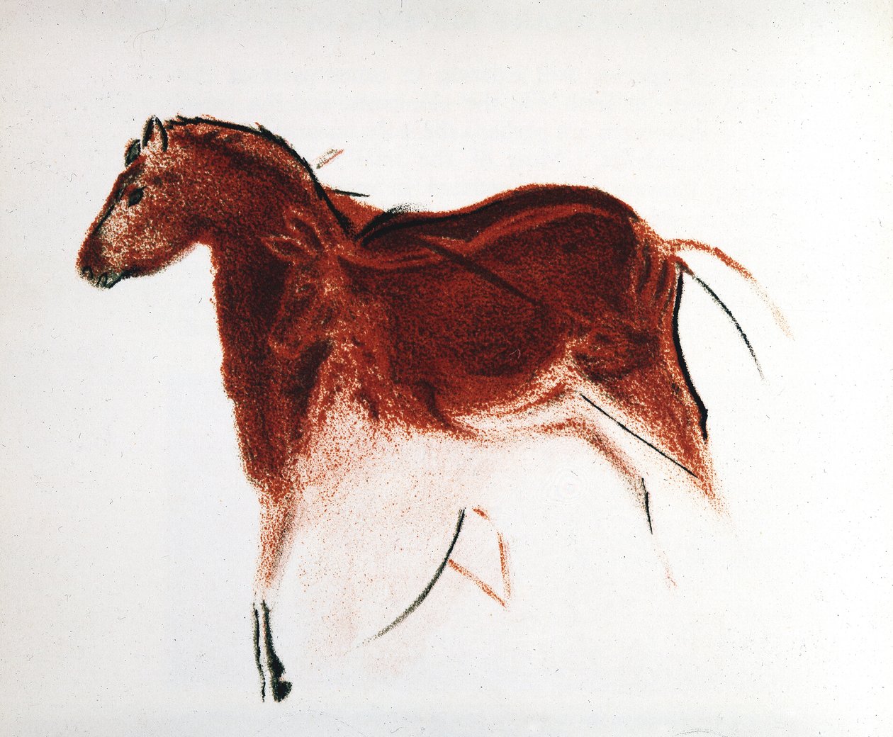 Cavalo e corça, pintura rupestre paleolítica de Altamira, sul da Espanha, c16.000-c9000 aC de Unbekannt
