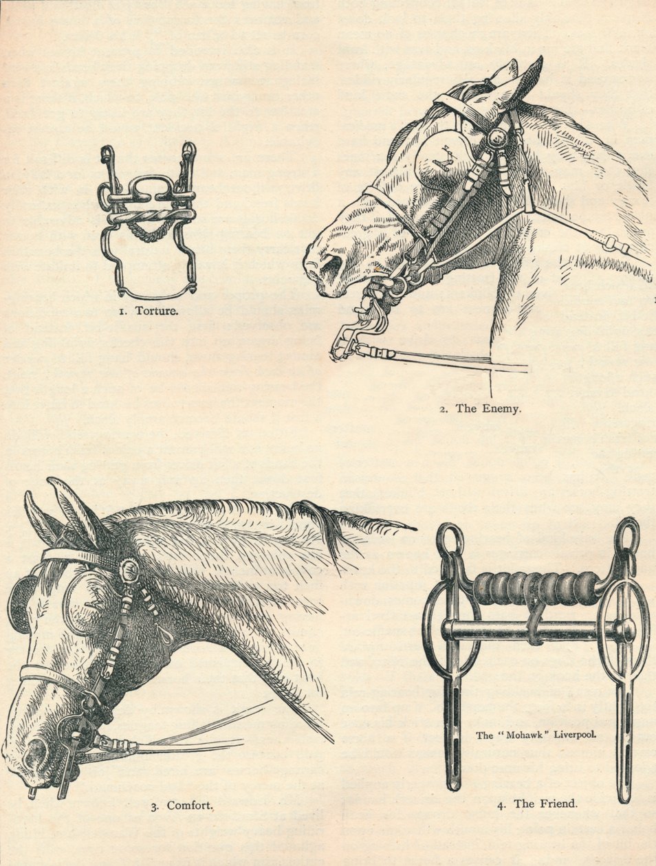 Pedaços de cavalo, bons e ruins, c1909 c1910 de Unbekannt