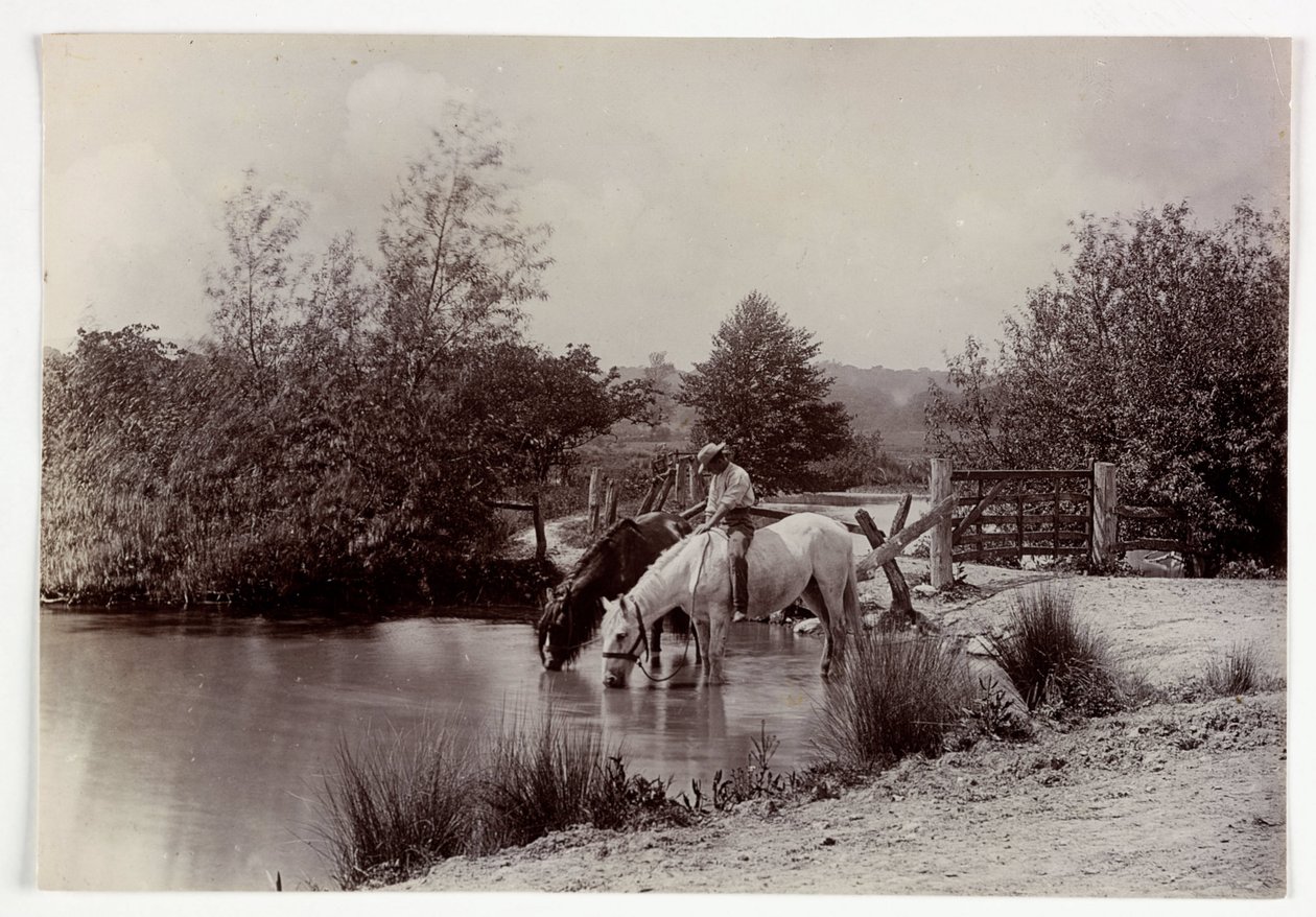 Cavalos bebendo na lagoa, vers 1890 de Unbekannt