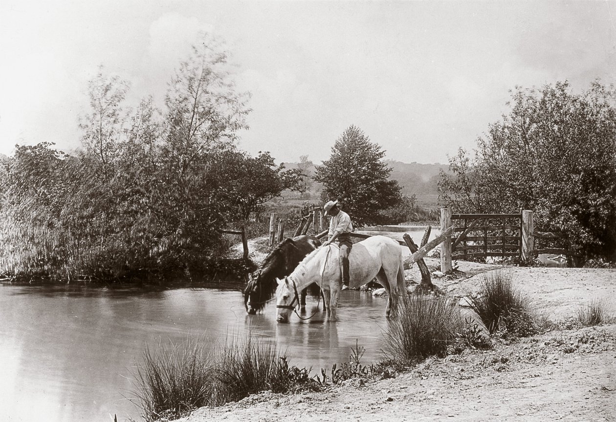 "Horses drinking at pond", vers les annees 1890 de Unbekannt