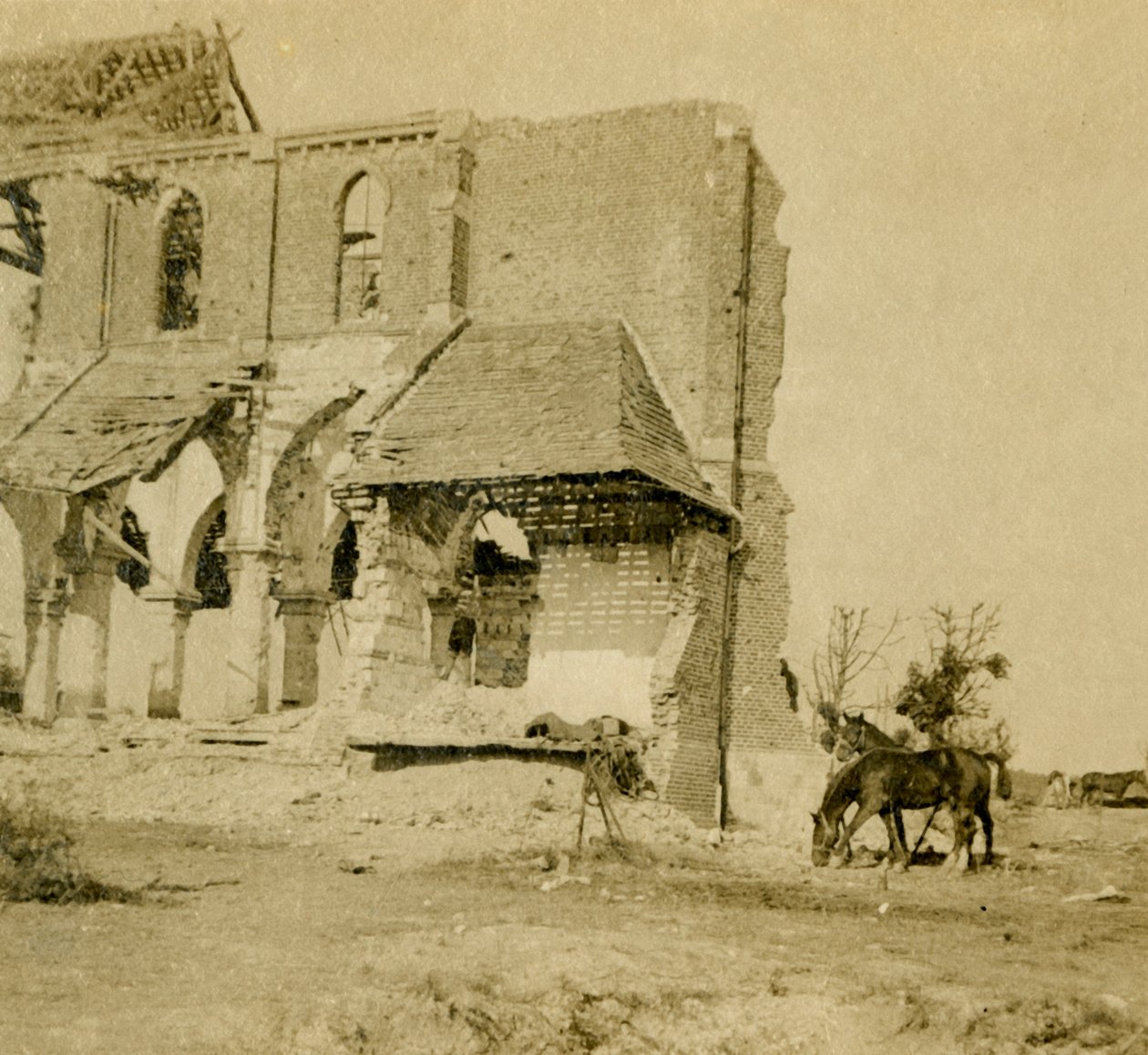 Cavalos pastando perto da igreja em ruínas, Frise, norte da França, c1914-c1918 de Unbekannt