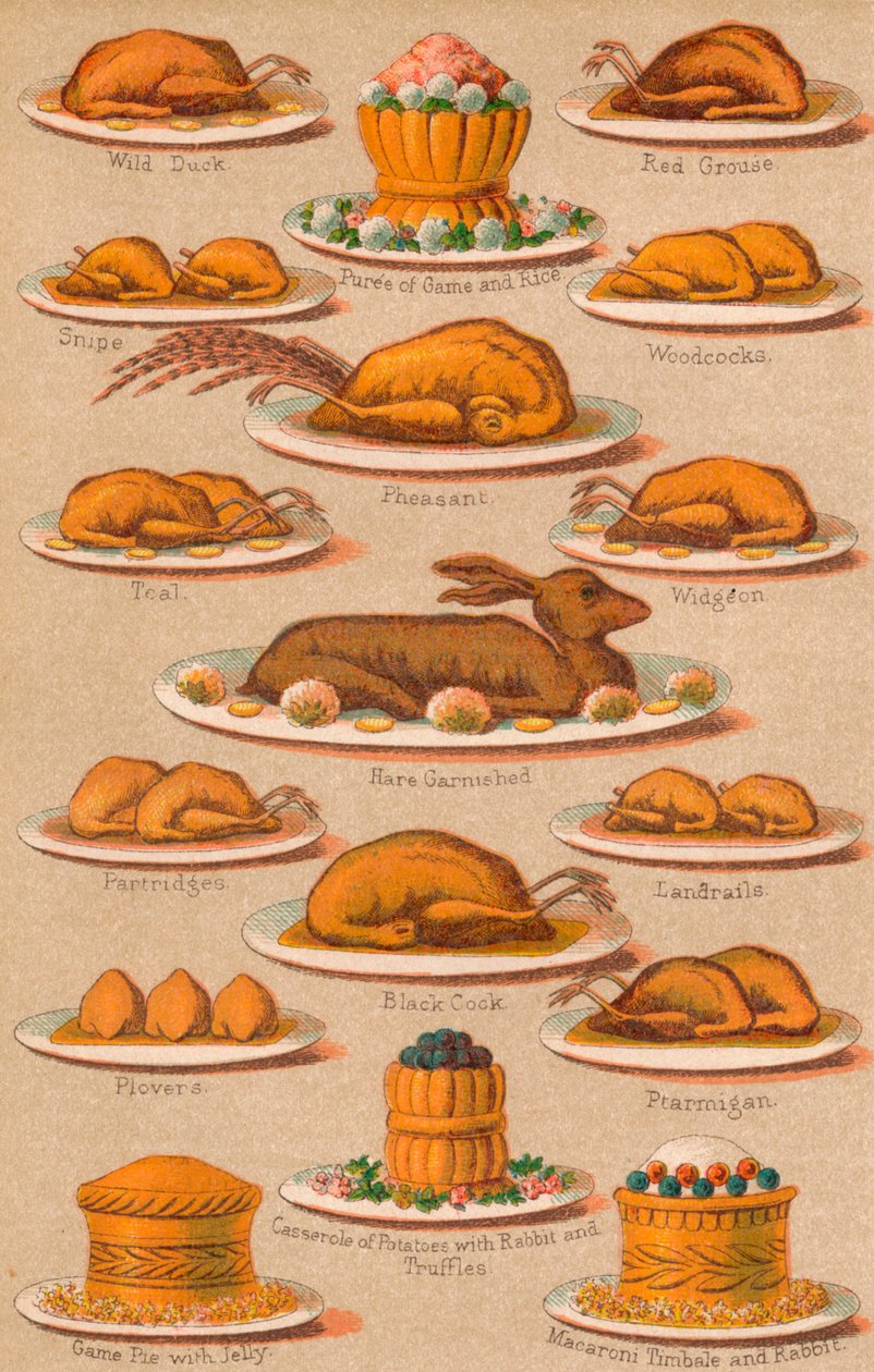 Gestão doméstica - Ilustração VIII, 1907, 1907 de Unbekannt