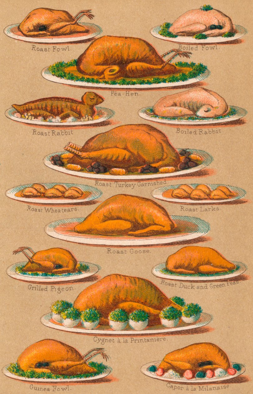 Gestão doméstica - Ilustração VI, 1907, 1907 de Unbekannt