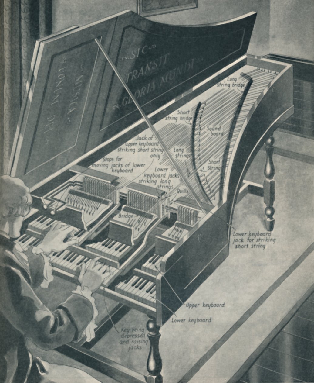 Como Handels Harpischord funcionou, c1934 de Unbekannt