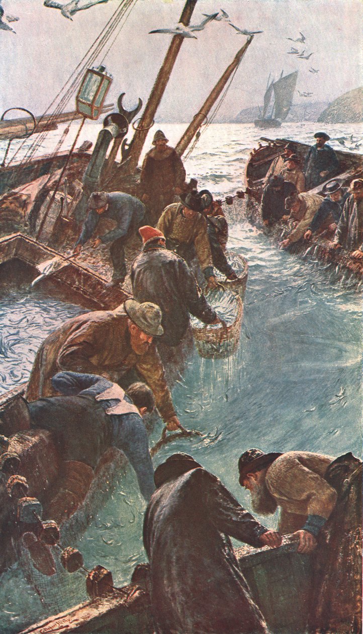 Como Caught the Pilchards, 1895, c1902. de Unbekannt