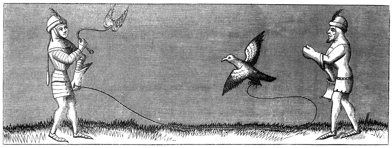 Como treinar um jovem falcão, século XIV 1849 de Unbekannt