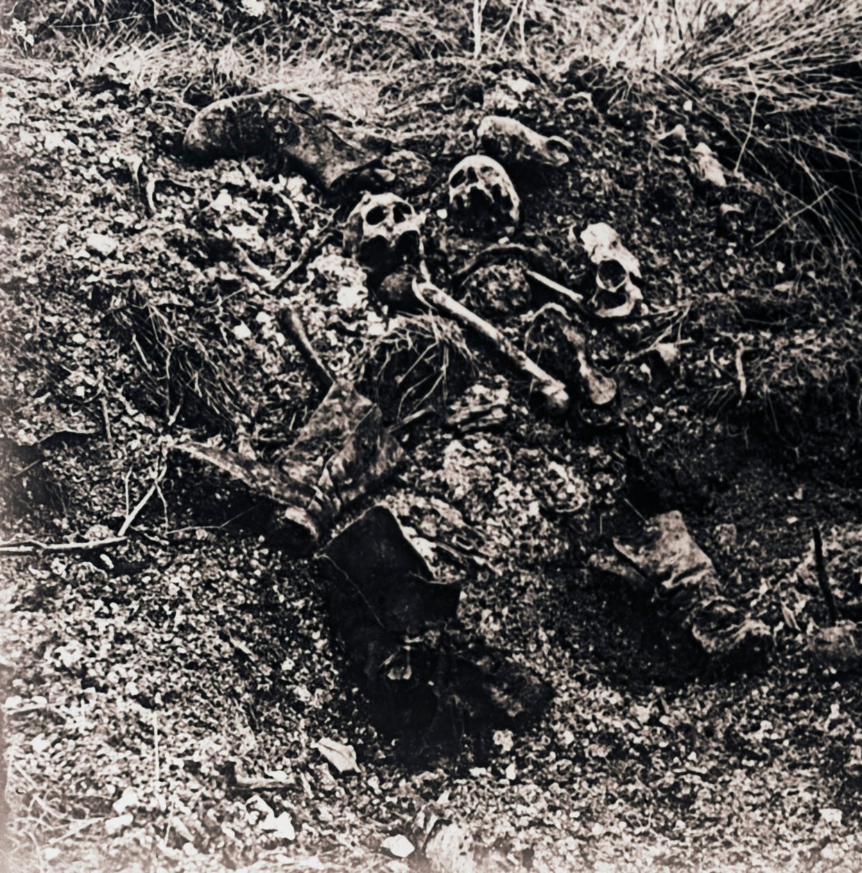 Restos humanos, c1914-c1918 de Unbekannt
