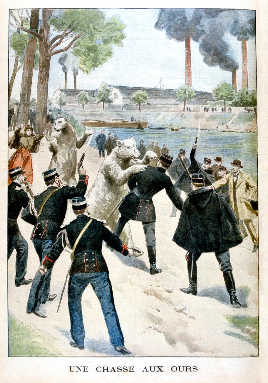 Caçando ursos, 1901 de Unbekannt