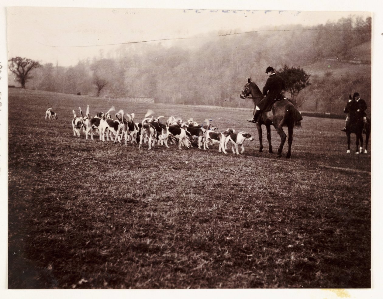 Caçador e cães de caça, c 1905 de Unbekannt
