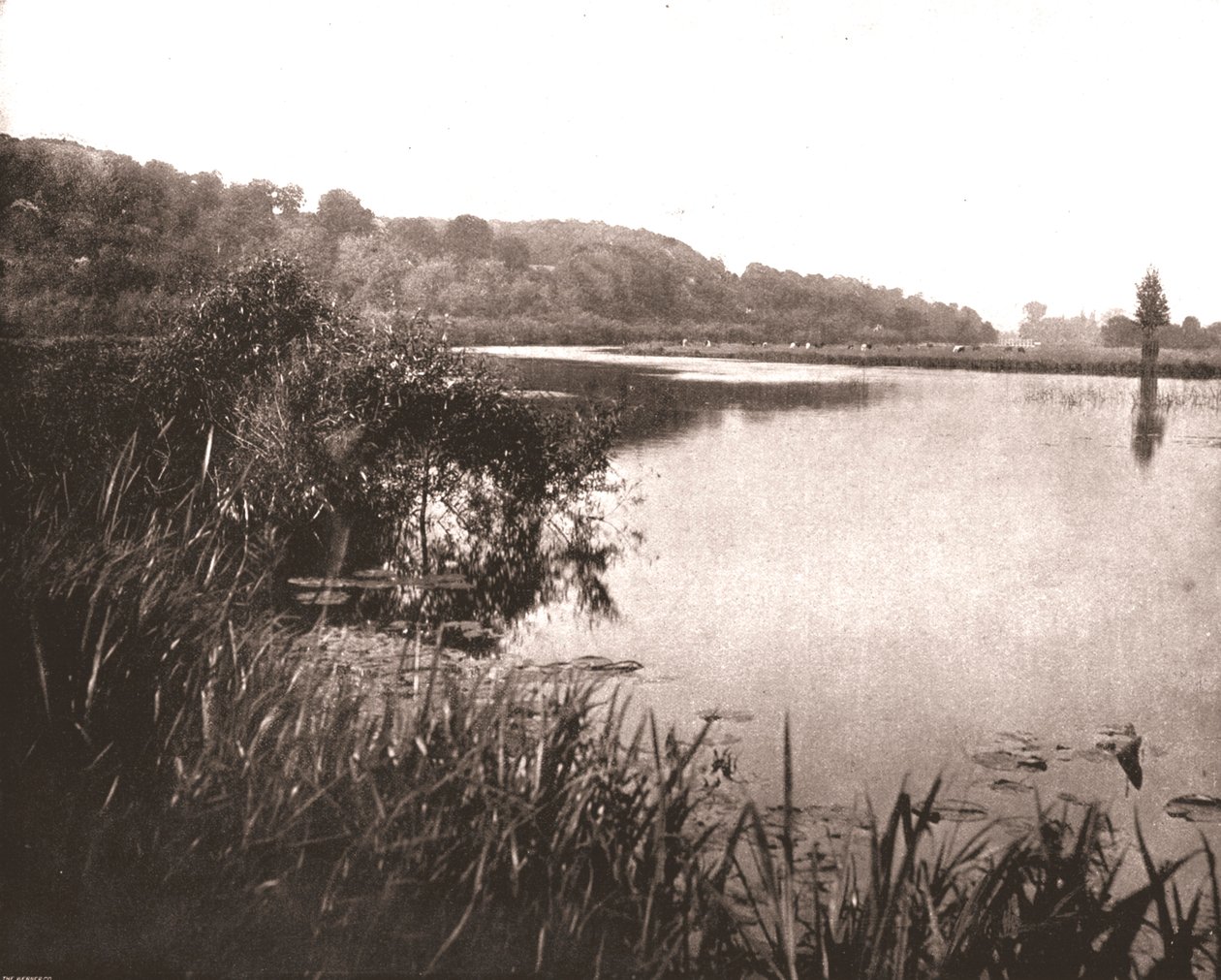 Alcance de Hurley, rio Tamisa entre Bisham e Medmenham, Buckinghamshire, 1894. de Unbekannt